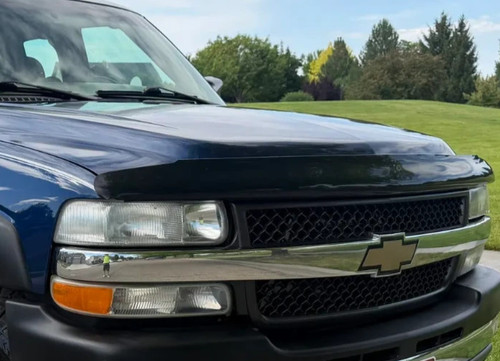 Bugflector hood protector - bugflector,