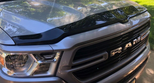 Aeroskin hood protector bug - protector,