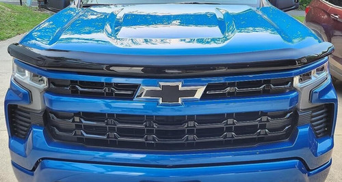 Bugflector hood protector - hood,