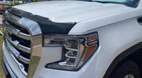 Aeroskin hood protector bug - protector,