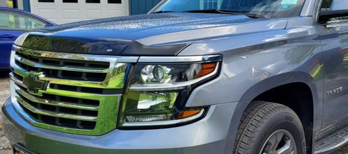 Aeroskin hood protector bug - aeroskin,